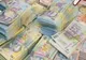 Ministerul Finanţelor propune crearea cadrului general pentru înfiinţarea Băncilor Naţionale de Dezvoltare. Care este scopul acestor instituţii 