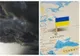 NORUL TOXIC din Ucraina, tot mai aproape de România - pericol URIAȘ pentru sănătate: recomandările specialiștilor