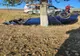 Cascadorie periculoasă la limita dintre județele Vaslui și Iași