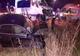 Microbuz cu 7 persoane implicat într-un accident la Chicerea