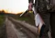 Sisteme cu infraroșu pentru vânătoarea pe timp de noapte. Iniţiativa este criticată de activiștii de mediu