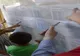 ULTIMĂ ORĂ: Au fost PUBLICATE rezultatele la Evaluarea Națională! Intră AICI să vezi ce note ai obținut!