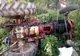 Și-a pierdut viața sub tractor