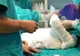 Propunerea CNAS care dă o șansă în plus pacienților cu arsuri - Ce servicii importante vor putea fi decontate de Casă