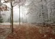 Prognoza meteo 12 decembrie. Cum va fi vremea azi