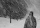 METEOROLOGII PROGNOZEAZĂ PLOI ABUNDENTE, VÂNT PUTERNIC ȘI NINSORI VISCOLITE LA MUNTE