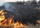 INCENDIILE DE VEGETAȚIE AU MAI FĂCUT O VICTIMĂ