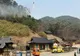 VIDEO COREEA DE SUD: 18 MORȚI ÎN MAI MULTE INCENDII DE PĂDURE