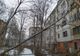 Copac prăbuşit peste un bloc din Tătăraşi