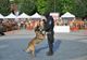 Demonstrații de dresaj canin și alte evenimente cu ocazia Zilei Poliției