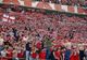 Suporterii „câinilor roșii“, interziși în Copou