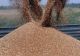 ONU, în contact cu Rusia asupra suspendării acordului de export a cerealelor ucrainene