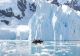 Verdict sumbru pentru omenire: Dispare gheața marină din Arctica în 6 ani - Schimbări dramatice ale climei - Valuri de căldură și inundații uriașe